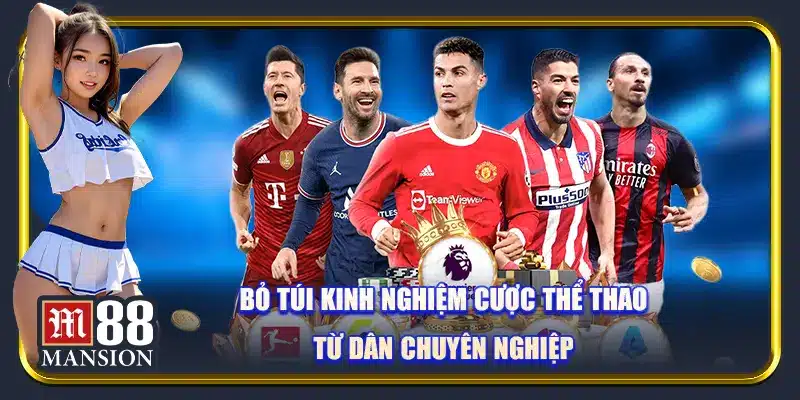 Bỏ túi kinh nghiệm cược thể thao từ dân chuyên nghiệp